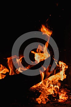 Closeup of the flames of a magnificent campfire  in the darkness of the night