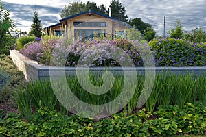 Closeup flower garden with perennials and purple flowers in front of the house