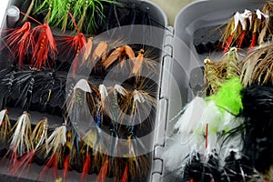 Closeup Fly Tackle