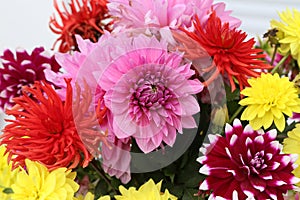 Closeup focus shot of a beautiful dahlia flower bouquet