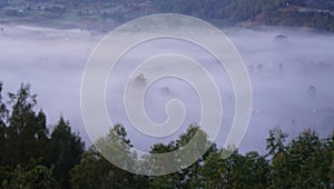 Closeup of fog on mountainside. Negeri di atas awan (Country above the clouds) concept