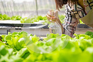 Closeup of foggy water spray bottle in female farmer hand spraying to sprout hydroponics vegetable in greenhouse nursery