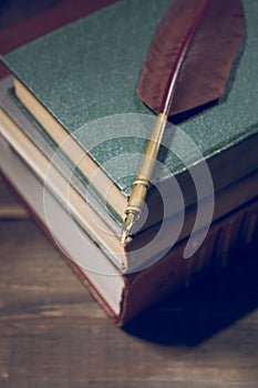 Closeup of fountain feather pen on stack of old books