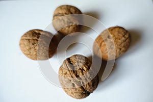 Closeup of four ripe brown rounded fruits of Persian walnut