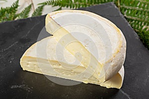 Closeup of french cheese reblochon, Savoie product