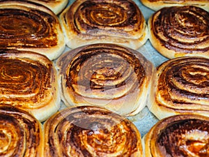Closeup of fresh baked cinnamon buns after baking in oven