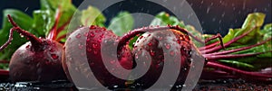 Closeup of Fresh beetroot vegetables with water drops over it