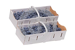 Closeup of fresh blueberries filled in two paper baskets isolated on a white background. Concept of healthy nutrition. Space for