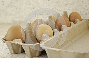 Fresh eggs in brown egg carton package