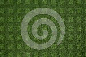 Closeup fresh green grass texture pattern background for football field