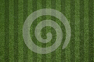 Closeup fresh green grass texture pattern background for football field