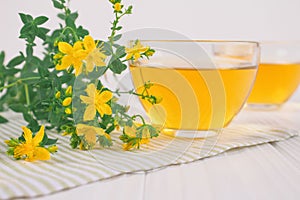 Closeup of fresh herbal tea in transparent cups and Hypericum flowers on white table. Alternative medicine, herbalism