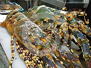 Closeup of fresh lobster on shelf of restaurant