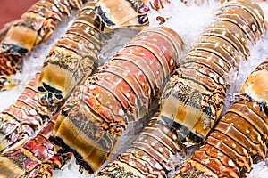 Closeup fresh lobster tails