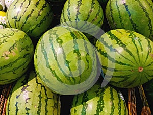 Closeup fresh many watermelons