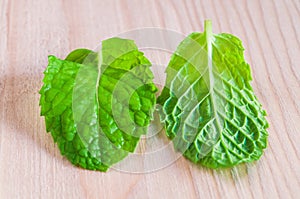 Closeup of fresh mints leaves.