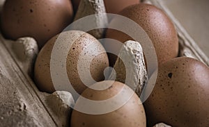 Closeup of fresh organic eggs in a paper box