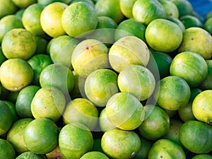 Closeup of fresh organic green lemons for retail sale in local market,