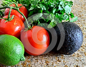 Closeup of fresh organic ingredients for salsa, avocado, tomato, lime, cilantro