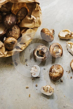 Closeup of fresh organic shiitake cremini mushroom
