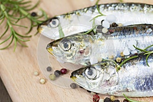 Closeup of fresh pilchard