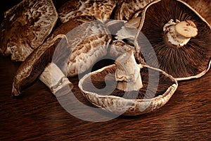 Closeup of fresh portobello mushrooms photo