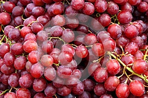 Closeup fresh purple grape fruit at fruit market - purple abstract  patterns - fruit background