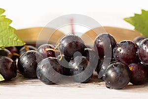 Closeup of fresh purple grapes with open Holy golden Bible. Jesus Christ is the true vine