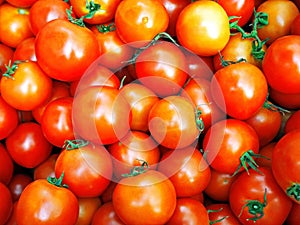 Closeup of Fresh Red Cherry Tomatoes