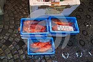 Closeup of fresh red fish at the Tsukiji fish market in Tokyo Japan