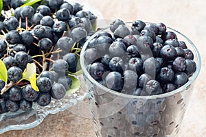 Closeup of fresh ripe black chokeberry Aronia melanocarpa with leaves in glass pot on brown ceramic background