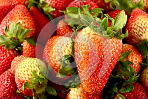 Closeup of fresh strawberries.