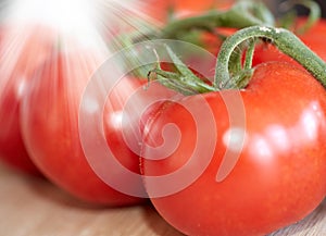 Closeup of fresh tomatoes washed with water. Group of healthy red tomato vegetables or harvested fruit, perfect for raw