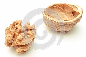 Fresh walnut with nutshell on white background