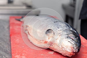 Closeup fresh whole salmon fish on red plastic cutting board in professional kitchen of restaurant is preparing for carving.