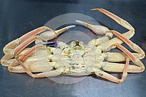 Closeup of freshly Boiled Echizen crab or snow crab or tanner crab.