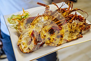 Closeup of freshly grilled lobster tails served with vegetables salad and rise.