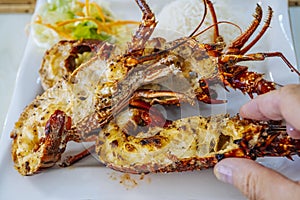 Closeup of freshly grilled lobster tails served with vegetables salad and rise.