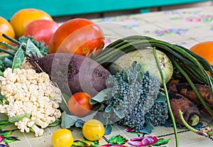 Closeup of freshly harvested vegetables turnips, beetroots, carrots, round marrow, tomatoes, cucumber, zucchini, kidney beans,