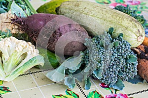 Closeup of freshly harvested vegetables turnips, beetroots, carrots, round marrow, tomatoes, cucumber, zucchini, kidney beans,