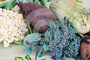 Closeup of freshly harvested vegetables turnips, beetroots, carrots, round marrow, tomatoes, cucumber, zucchini, kidney beans