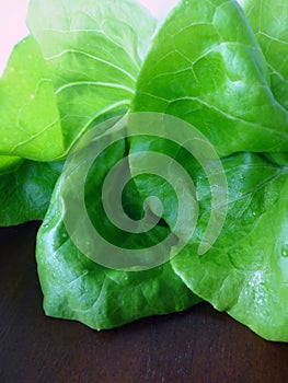 Closeup of Boston Bibb Lettuce Leaves Background photo
