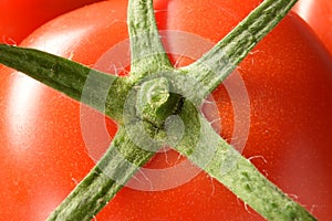 Closeup of freshly picked tomatoes