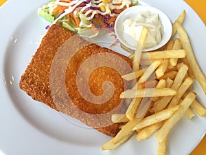 Closeup fried fish, chips and salad on a white dish. Horizontal