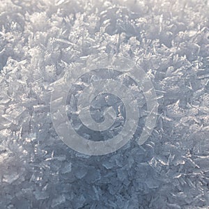 Closeup of frost under the lights - a cool picture for backgrounds and wallpapers