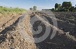 Closeup of furrows in ploughed arable field