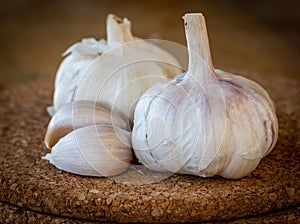 Closeup of garlic bulb and cloves on a round cork board