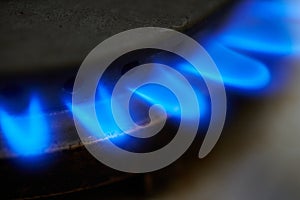 Closeup of Gas stove. Blue flames from natural gas fire