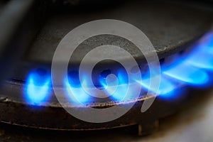 Closeup of Gas stove. Blue flames from natural gas fire