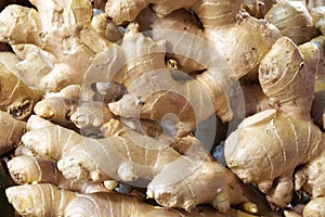Closeup Ginger - Thai food and herb ingredient